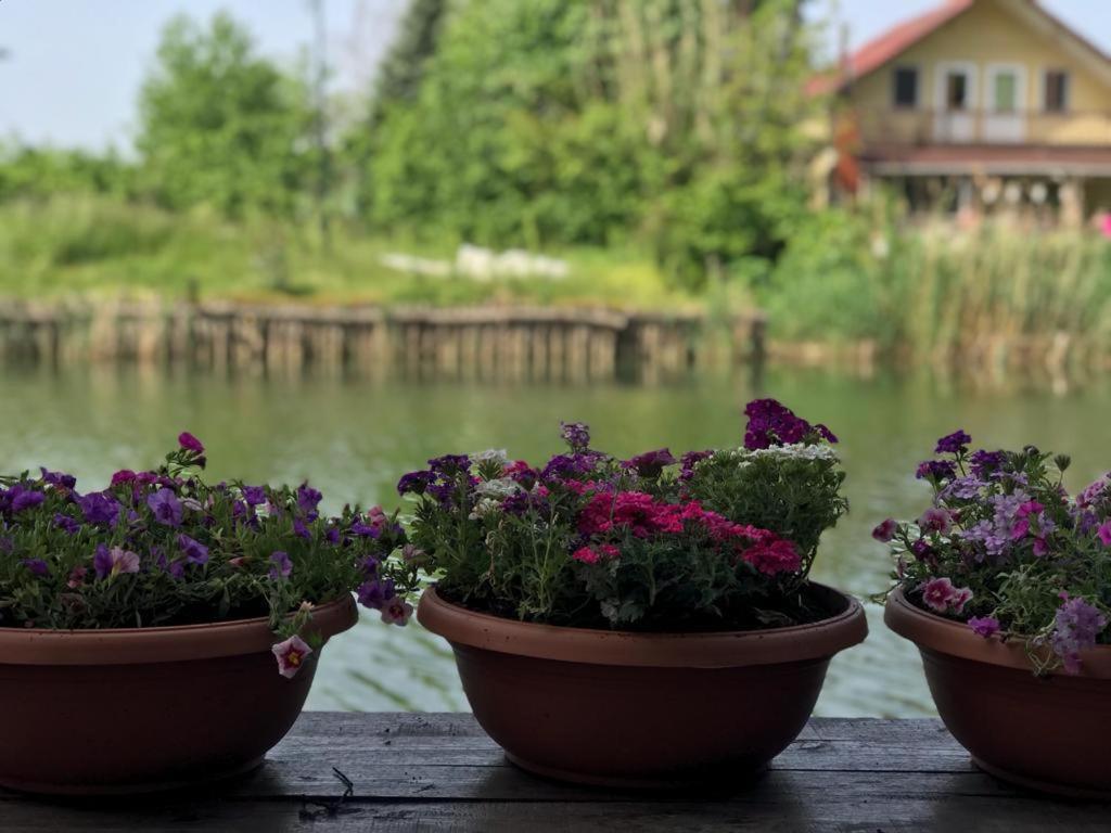Agva Sweet Home River Hotel Екстериор снимка
