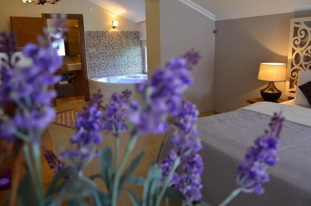 Agva Sweet Home River Hotel Екстериор снимка